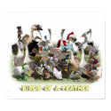Birds of a Feather posters