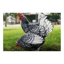 "Birds of a Feather" posters by michaelsnydermusic "Birds of a Feather" posters