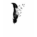 Birds of a Feather t-shirts by walkleyjm Birds of a Feather t-shirts