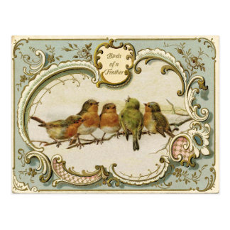 Vintage Bird Postcard 37