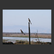 "Birds of a Wire" Landscape Crop posters
