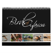 Birds of Africa gifts - Standard Wall Calendar
