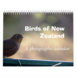 Birds of New Zealand Wall Calendar