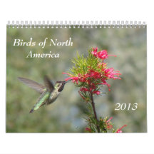Birds of North America Wall Calendar