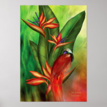 Birds Of Paradise Art Poster/Print