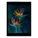 Birds of Paradise cards