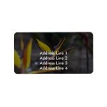 Birds Of Paradise Address Label