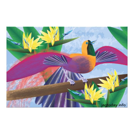 Birds of Paradise Photo Print