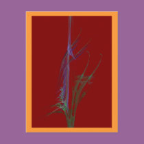 BIRDS OF PARADISE postcards