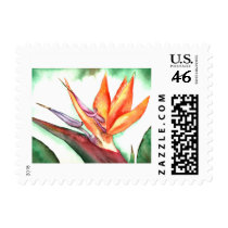 birds of paradise stamps