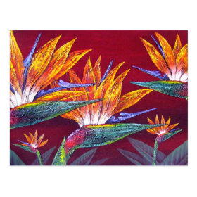 Birds Of Paradise Tropical Flower - Multi Postcard