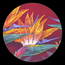 Birds Of Paradise Tropical Flower - Multi stickers