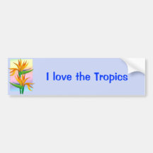Birds of Paradise with Pastel Rainbow Background Bumper Stickers