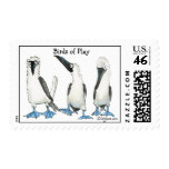 Birds of Play Cartoon Postage