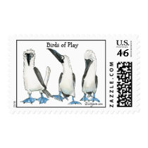 Birds of Play Cartoon Postage