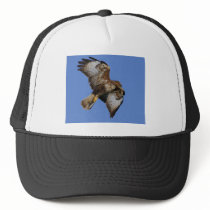 Birds of Prey Hats