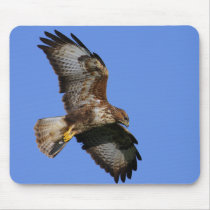 Birds of Prey Mousemats mousepads
