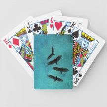 Birds Of Prey Playing Cards