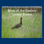 Birds of the Eastern United States calendar calendars