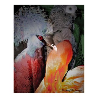 Birds of the Jungle print