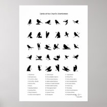 Birds of the Northwest (with names) Posters