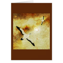 Birds of The Sun cards