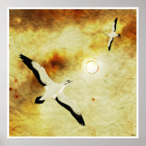 Birds of The Sun posters