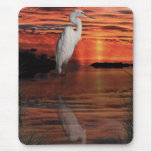 BIRDS OF THE WILD Gift Mouse Mat