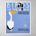 Birds Of The World 1938 WPA Print