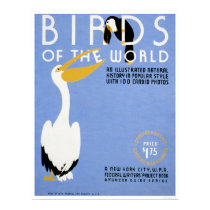 Birds Of The World 1938 WPA posters by lc_wpa Birds Of The World 1938 WPA posters