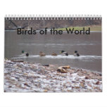 Birds of the World Wall Calendar