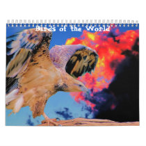Birds of the World Calendar