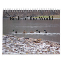 Birds of the World Wall Calendar