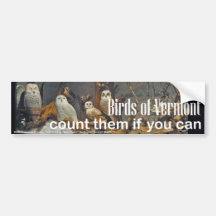 Birds of Vermont Museum Bumper Sticker: Winter