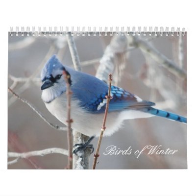 Birds of Winter Wall Calendar by mrsmas. shot with a 500mm lens at the bird 