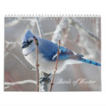Birds of Winter calendars