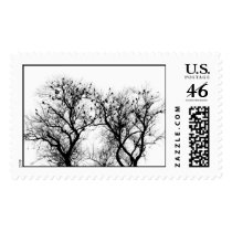 Birds of Winter Stamps