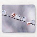 Birds on a Branch Mousepad