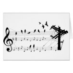 Birds on a Score card