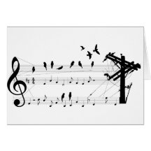 Birds on a Score card