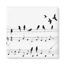 Birds on a Score magnet