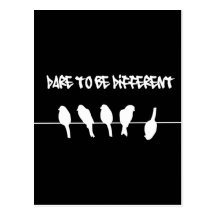 Birds on a wire – dare to be different (black) post card
