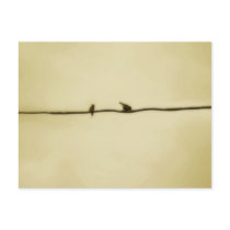 Birds on A Wire in Autumn postcards by CMZart Birds on A Wire in Autumn postcards