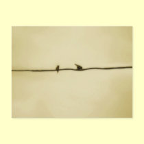 Birds on A Wire in Autumn postcards