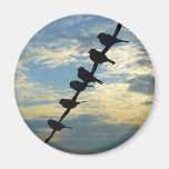 Birds on a Wire Magnets