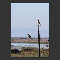 "Birds on a Wire", Portrait Crop posters