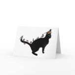 Birds on Cat Card cards