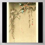 Birds on Cherry Tree by Seitei Watanabe 1851- 1918 posters
