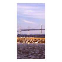 Birds on Chesapeake Bay Customized Photo Card