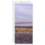 Birds on Chesapeake Bay Customized Rack Card